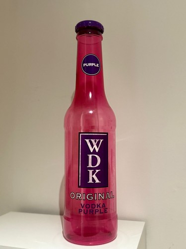 2ft 1ft bank bottle - bottle, coins