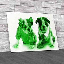 Fashion English Bulldog Puppies Girl Boy Green Canvas Print Large Picture Wall