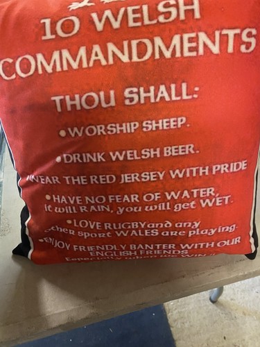 Great welsh cushion - a,
