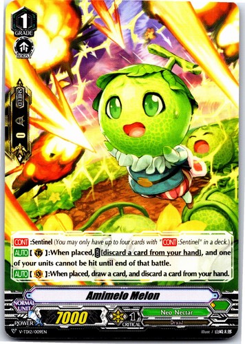 Amimelo melon td12 - melon, v-td12/009en
