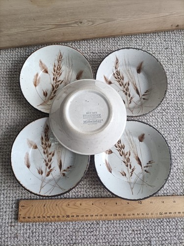 Vintage midwinter - 4x,