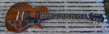 Richwood P90 Les Paul Special