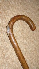 Antique 17HH Horse Measuring