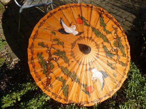 Beautiful japanese oriental - japanese,