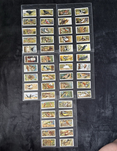 Complete set player s - complete,