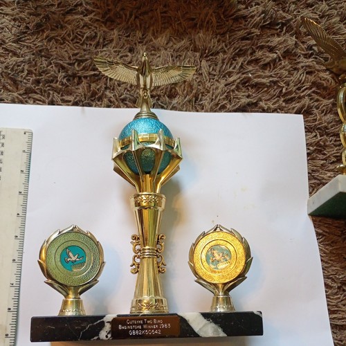 Pigeon racing trophy - racing,
