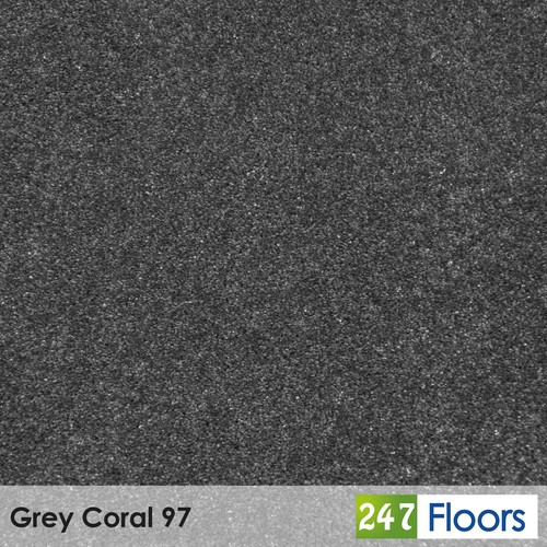 Centaurus invictus carpet - centaurus,