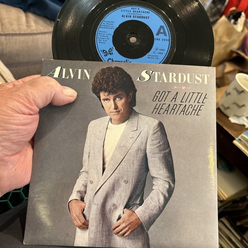 Alvin stardust got a little - alvin,