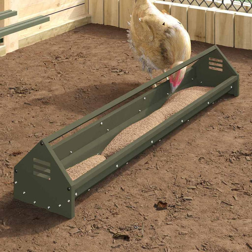 Chicken feeding trough olive - chicken,