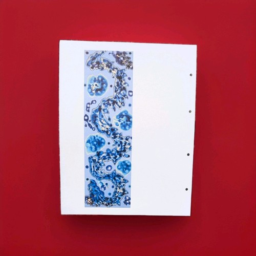 Jamie reid eight - jamie,