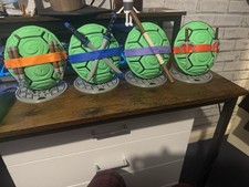 Set Of 4 Turtles Shells