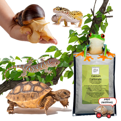 Bugznbits calcium dusting - bugznbits,
