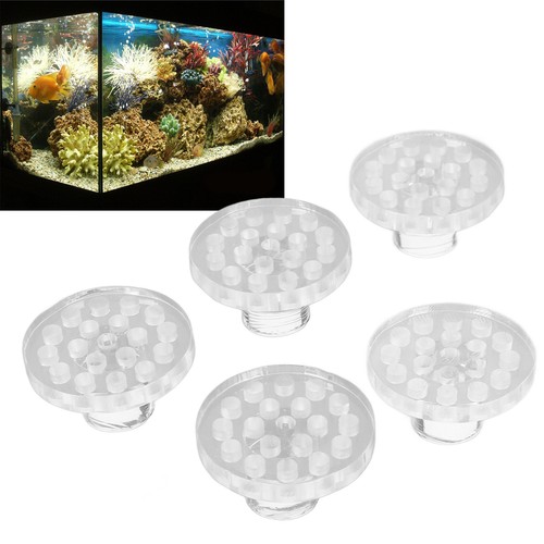 Sps coral frag plugs - coral, round