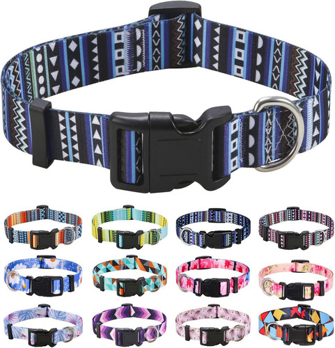 Dog collar for medium - dog, dogs