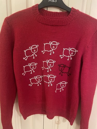 Womens red jumper - red,