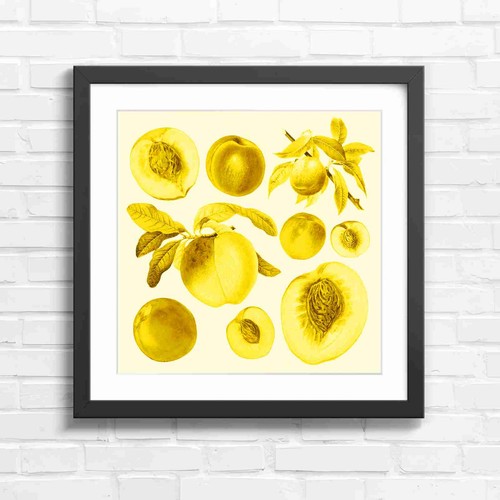 Botanical vintage peaches and - vintage,