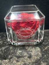 Eternal Petals 100% Real Red