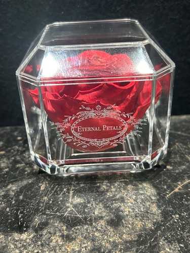 Eternal petals 100 - petals, red