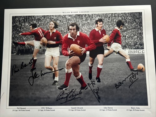 Rare signed 16x12 photo - , rugby