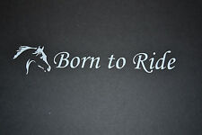 BORN TO RIDE PONY HORSE