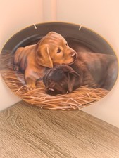 Twos Company Nigel Hemming