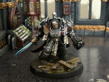 Fully painted and based Silver