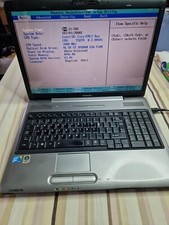 Toshiba Satellite Pro P300-28M