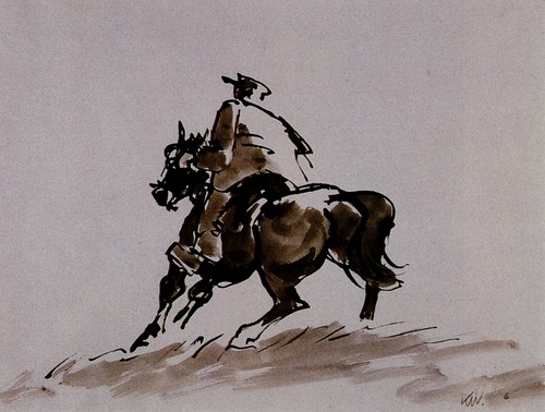 Man welsh cob kyffin - on, a
