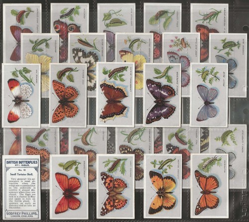 Phillips full set british - phillips-full, set-