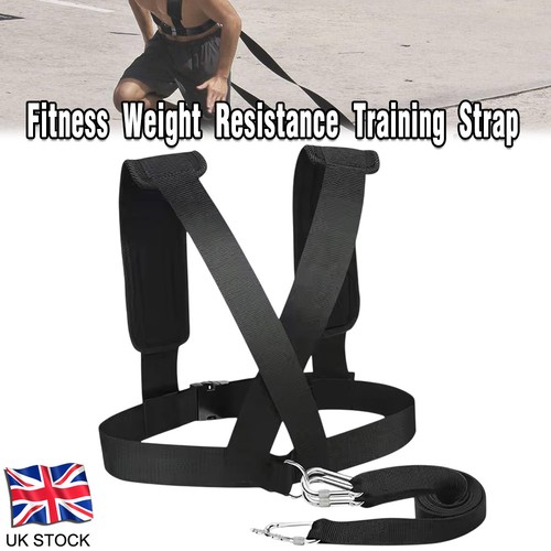 Weight sled harness tire - weight,