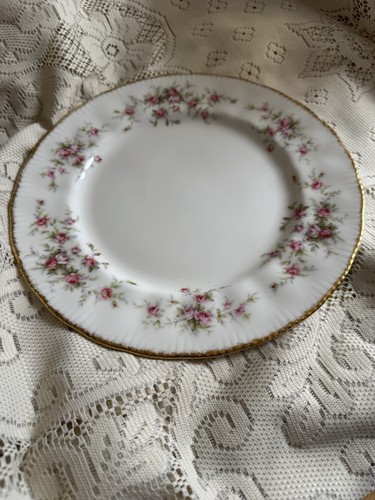 Paragon victoriana rose - victoriana,