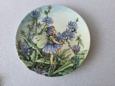 Vintage wedgwood the - the, chicory