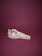 Spinosaurus Dinosaur Replica