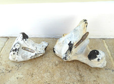 Belemnites in Rock - Fossil