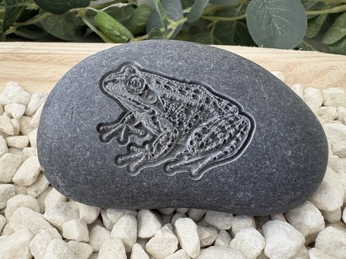 Engraved frog pebble stone - frog, |