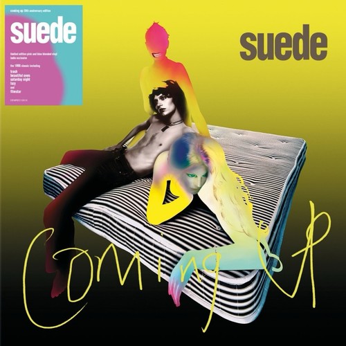 Suede coming blue pink - up, (blue/pink