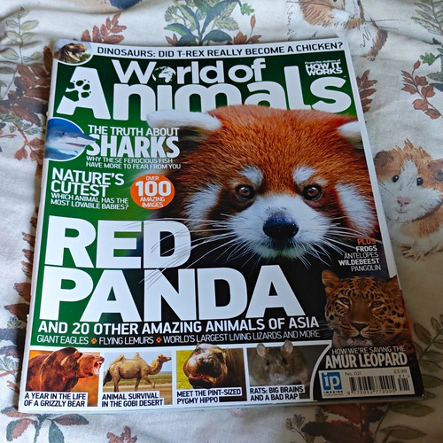 World animals 021 red - of,