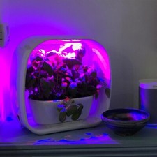 Herb Garden - Plant!T System - All In One System - HERB Growers!