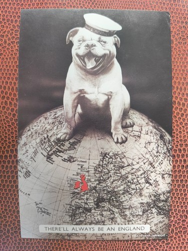 British bulldog wearing - bulldog,