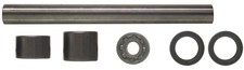Swinging Arm Bearing Set for