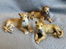 Lion - Leopard - Lioness -
