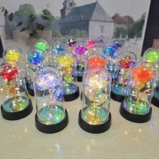 LED Light Enchanted Eternal