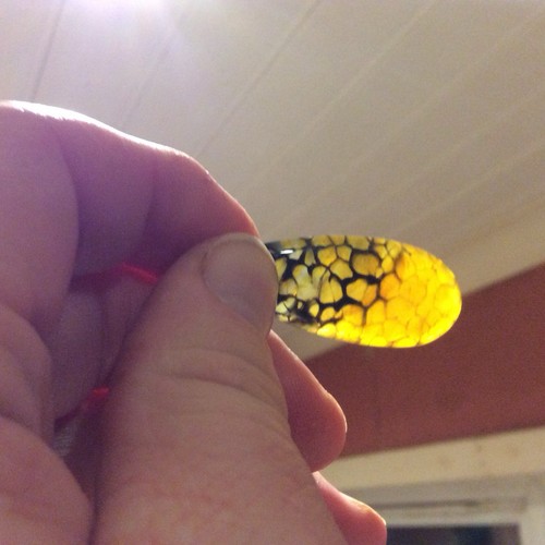 Yellow and black dragons vein - and,