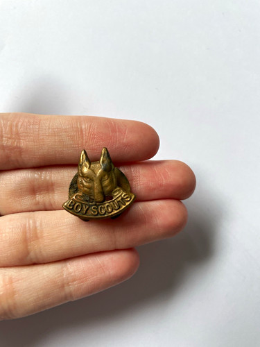 Vintage boy scouts wolf cub - boy,