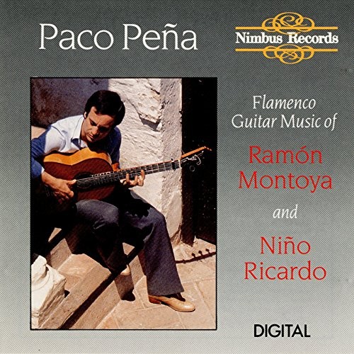 Flamenco guitar music - guitar,