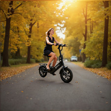 Dyu 14mini foldable - dyu, 14"