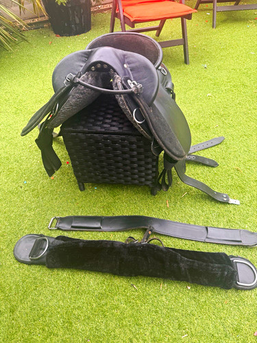 Horseproblems australian stock - horseproblems,