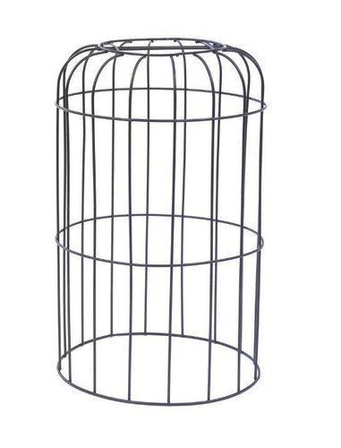 Henry bell heritage squirrel - henry,