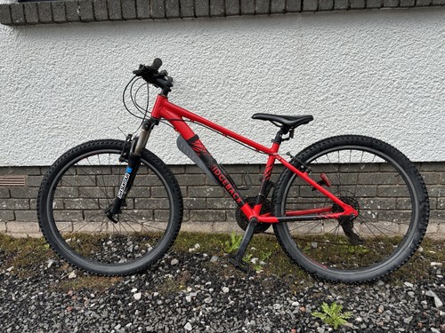 Inch frame ridgeback - 15,