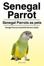 Senegal Parrot. Senegal